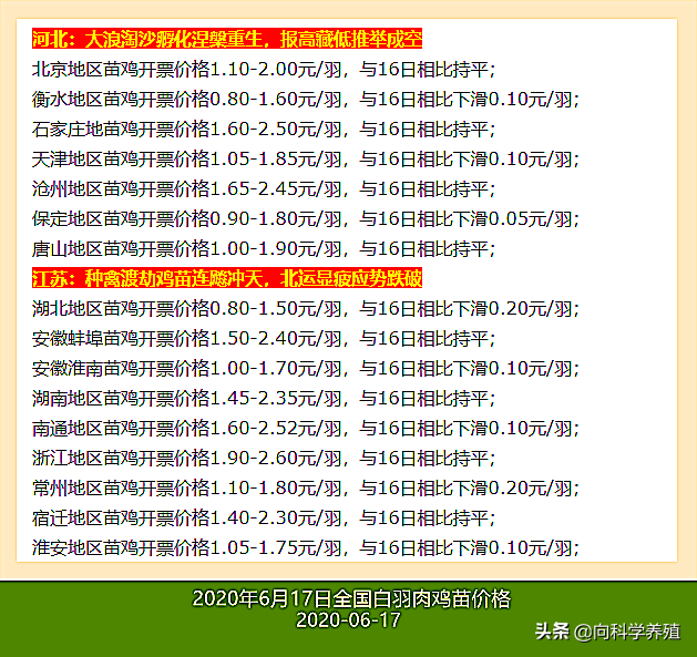 今日白羽鸡最新价格,今日白羽鸡最新价格，市场动态与影响因素分析