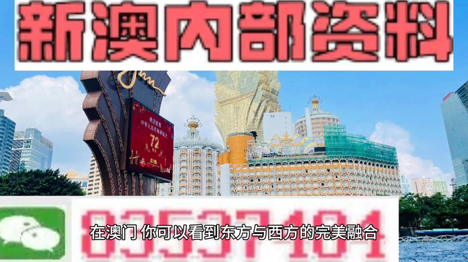 新澳2024年精准资料33期,关于新澳2024年精准资料33期的探讨与警示——警惕违法犯罪风险