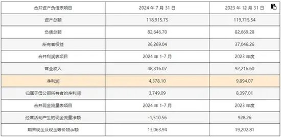 新澳2024年精准资料,新澳2024年精准资料概览