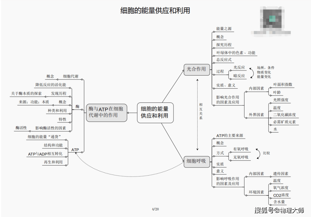 新澳门黄大仙三期必出,新澳门黄大仙三期必出——揭示犯罪背后的真相与应对之道