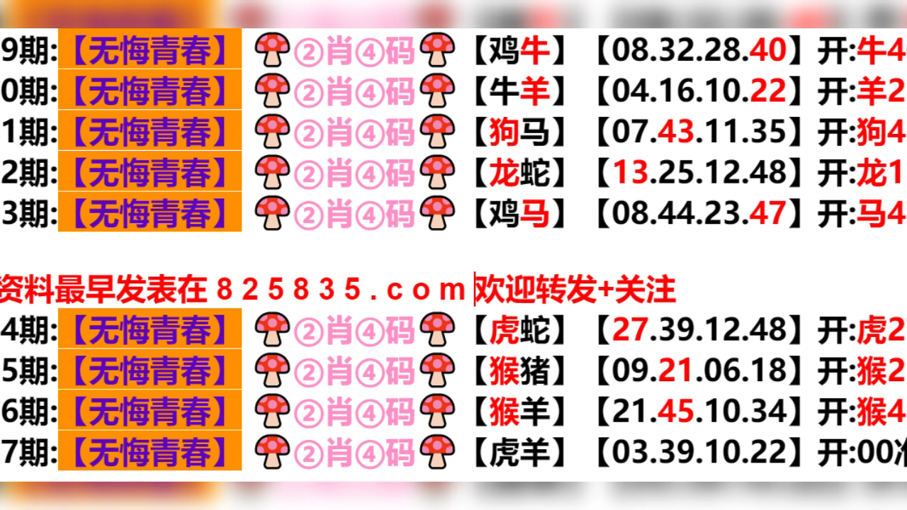 2024新澳门天天开好彩大全孔的五伏,新澳门天天开好彩大全孔的五伏——探索与解读