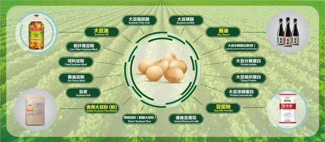 特马资料,特马资料，深度解析与应用前景